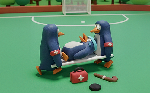 penguin on a stretcher injured penguin on a stretcher injured