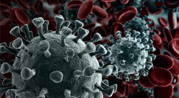 virus corona virus corona