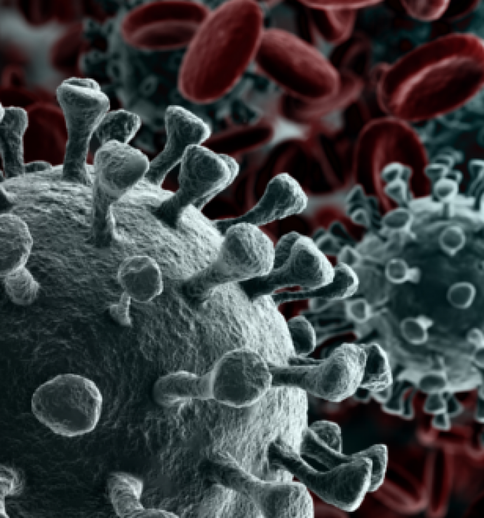 virus