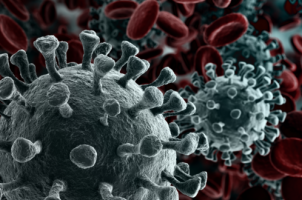 virus