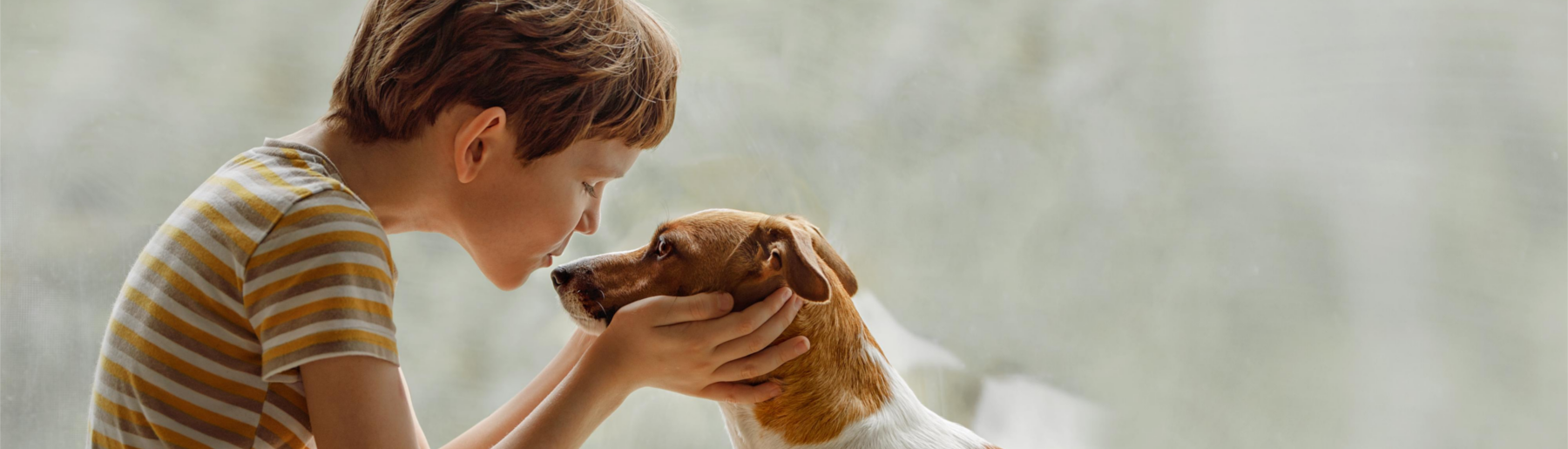 jongen hond