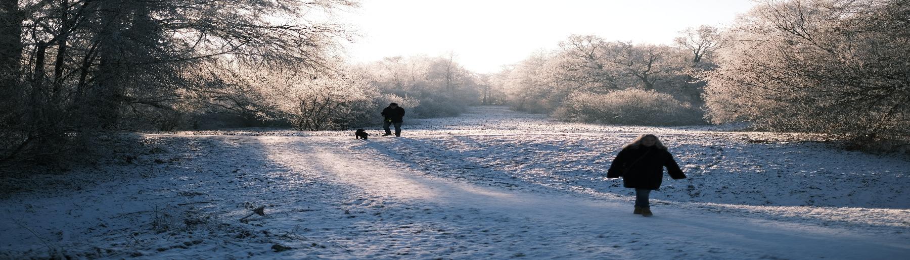 wandeling