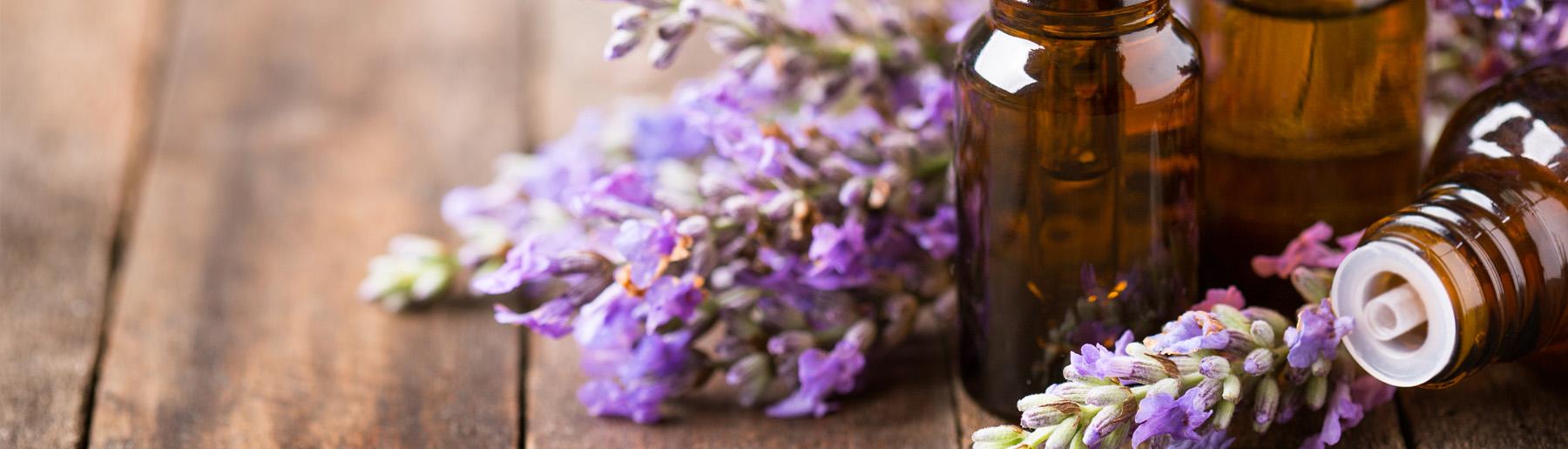 Atelier Santé : les Fleurs de Bach