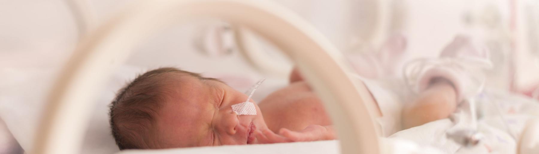 Baby in couveuse