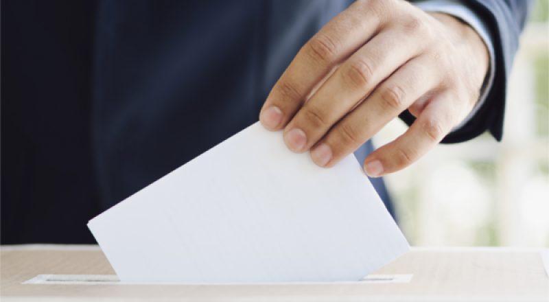 mutualistische verkiezingen